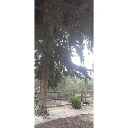 Casa Foxi Lioni A 180 Mt Dal Mare Semesterbostad *
