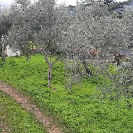 Semesterbostad Casa Foxi Lioni A 180 Mt Dal Mare Tertenìa