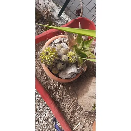 Casa A 180 Mt Dal Mare Ideale Per Famiglie Con Cani Сasa de vacaciones *