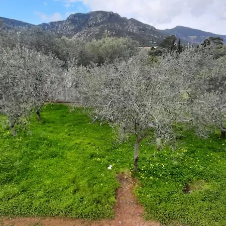 Сasa de vacaciones Casa A 180 Mt Dal Mare Ideale Per Famiglie Con Cani Tertenìa