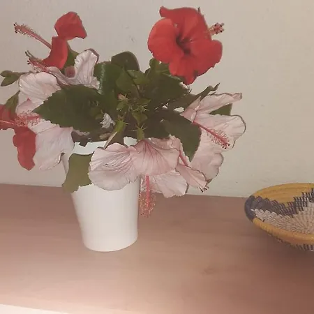 Casa A 180 Mt Dal Mare Ideale Per Famiglie Con Cani Сasa de vacaciones Tertenìa