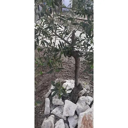 Casa A 180 Mt Dal Mare Ideale Per Famiglie Con Cani Prázdninový dům