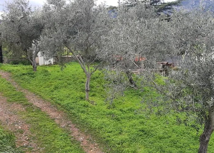 Tatil Evi Casa A 180 Mt Dal Mare Ideale Per Famiglie Con Cani Tertenìa