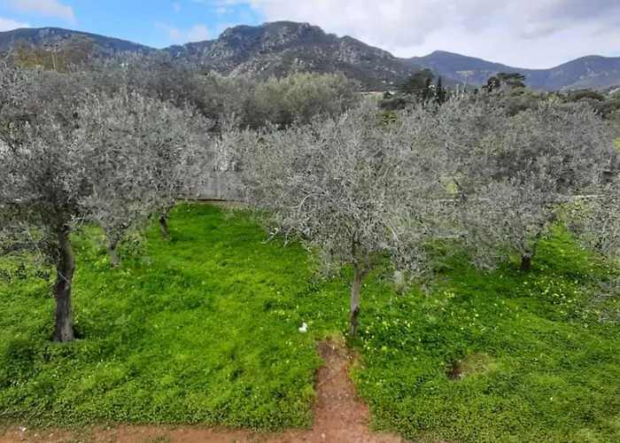 Tatil Evi Casa A 180 Mt Dal Mare Ideale Per Famiglie Con Cani Tertenìa