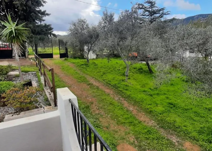 Tatil Evi Casa A 180 Mt Dal Mare Ideale Per Famiglie Con Cani