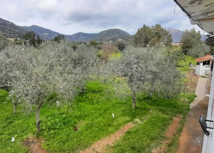 Tatil Evi Casa A 180 Mt Dal Mare Ideale Per Famiglie Con Cani Tertenìa