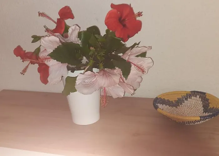 Casa A 180 Mt Dal Mare Ideale Per Famiglie Con Cani Tatil Evi Tertenìa
